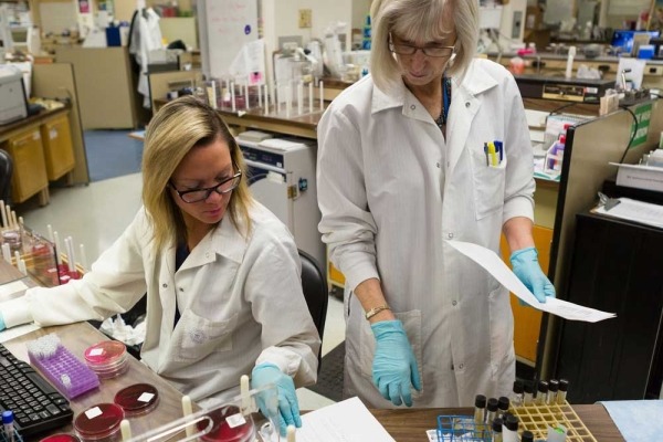 Researchers at lab bench